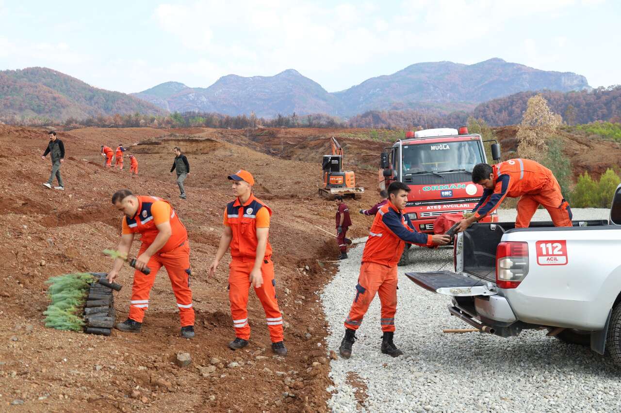 Muğla Orman Bölge Müdürlüğü 11 Kasım’da Yeşil Vatan İçin Seferber Oluyor 8